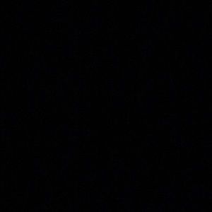 Meet your Posher, Naomi